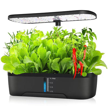 Hydroponic System Kit: 12-Hole Indoor Soilless Plant Box