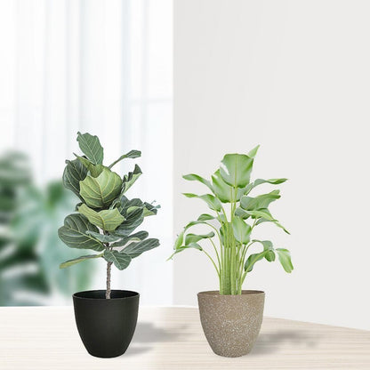 Frosted Stone Flower Pots - Durable European Style Planters