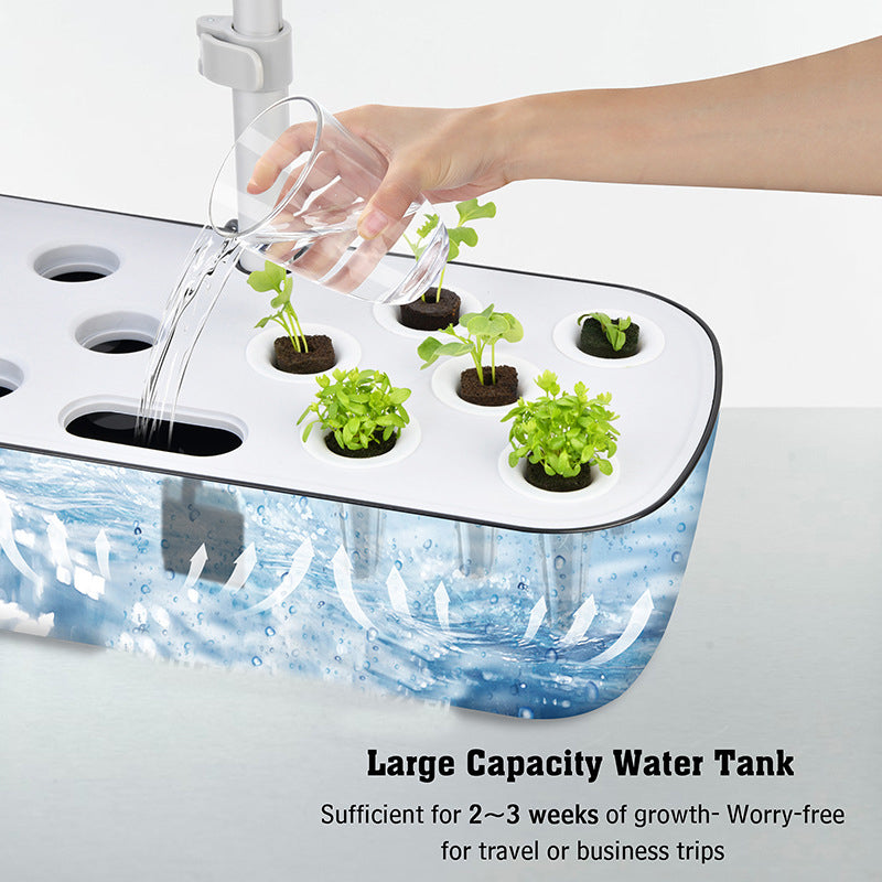 Hydroponic System Kit: 12-Hole Indoor Soilless Plant Box