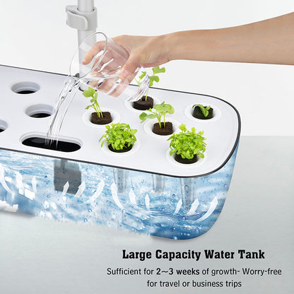 Hydroponic System Kit: 12-Hole Indoor Soilless Plant Box
