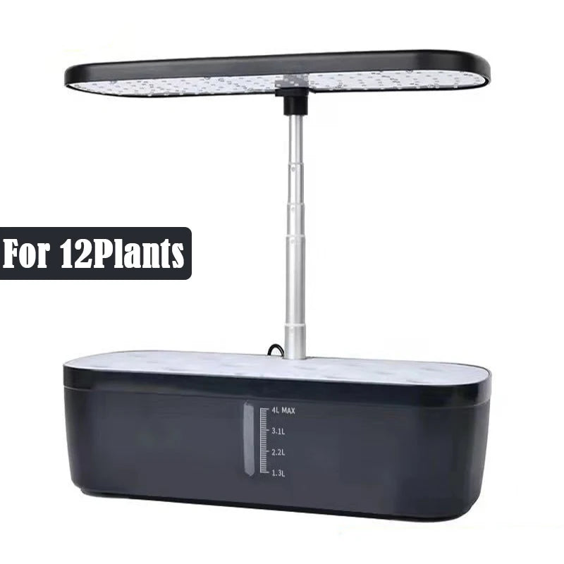 Hydroponic System Kit: 12-Hole Indoor Soilless Plant Box