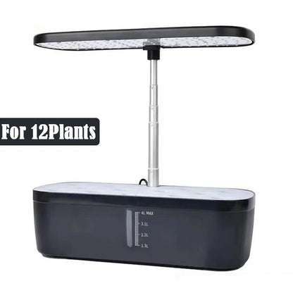 Hydroponic System Kit: 12-Hole Indoor Soilless Plant Box