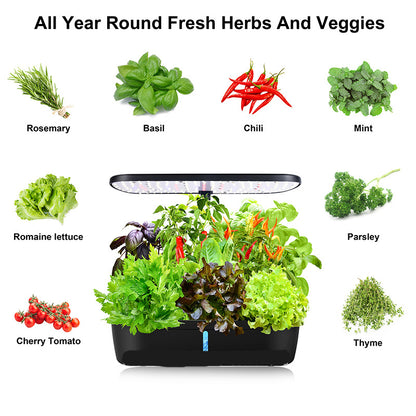 Hydroponic System Kit: 12-Hole Indoor Soilless Plant Box