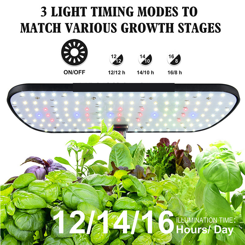 Hydroponic System Kit: 12-Hole Indoor Soilless Plant Box
