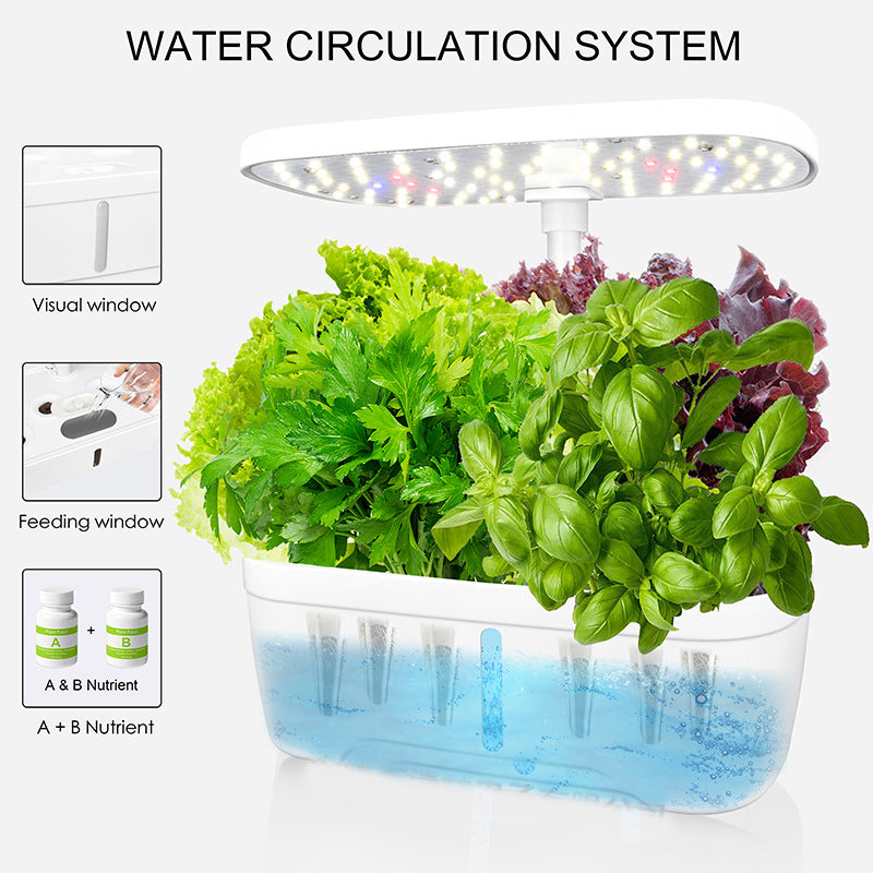 Hydroponic System Kit: 12-Hole Indoor Soilless Plant Box